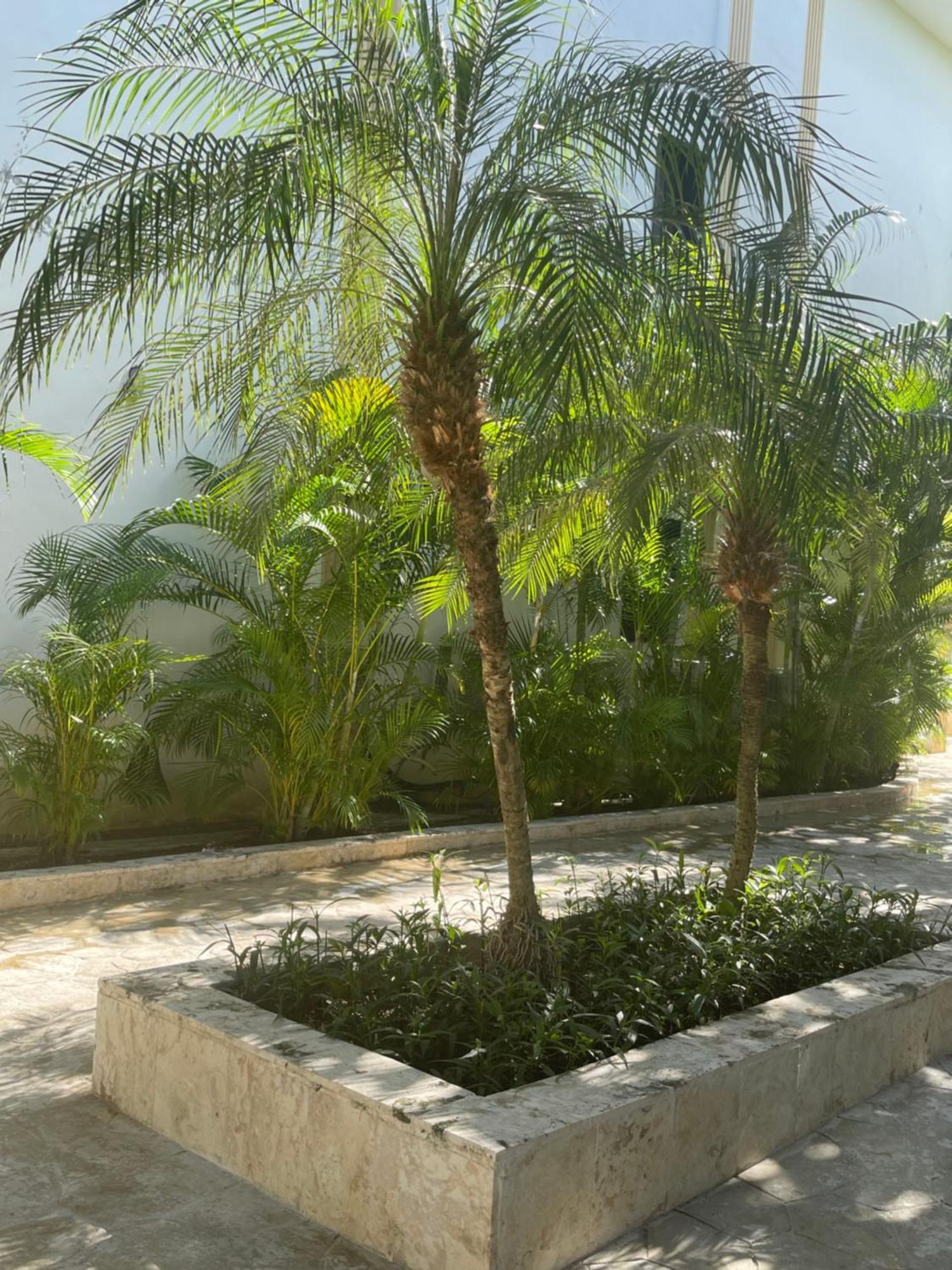 Hotel Plaza Brisas Mt Punta Cana Buitenkant foto